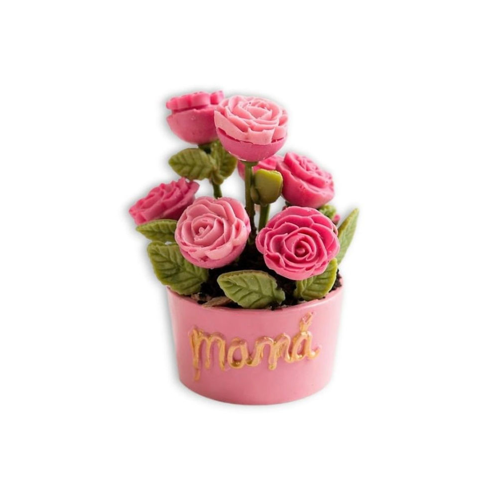 Maceta de chocolate artesanal para el Día de la Madre con flores comestibles en Montevideo