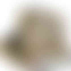 Bombones personalizables para educador en caja de 12, 15 o 18 unidades