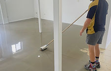 IMG_2230.jpg
