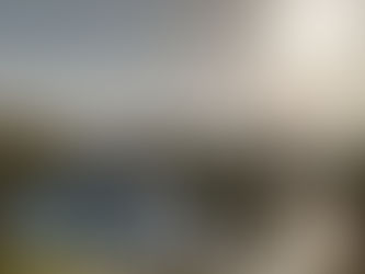 3月の演奏情報UPしました!