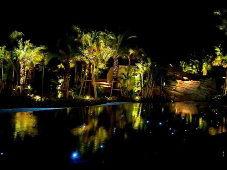 名城ビーチthe Barにて追加演奏情報