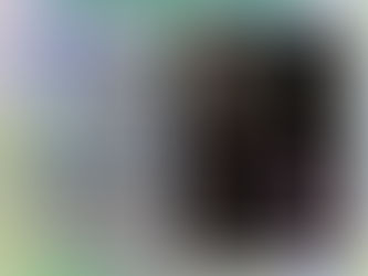 コンサートのお知らせ