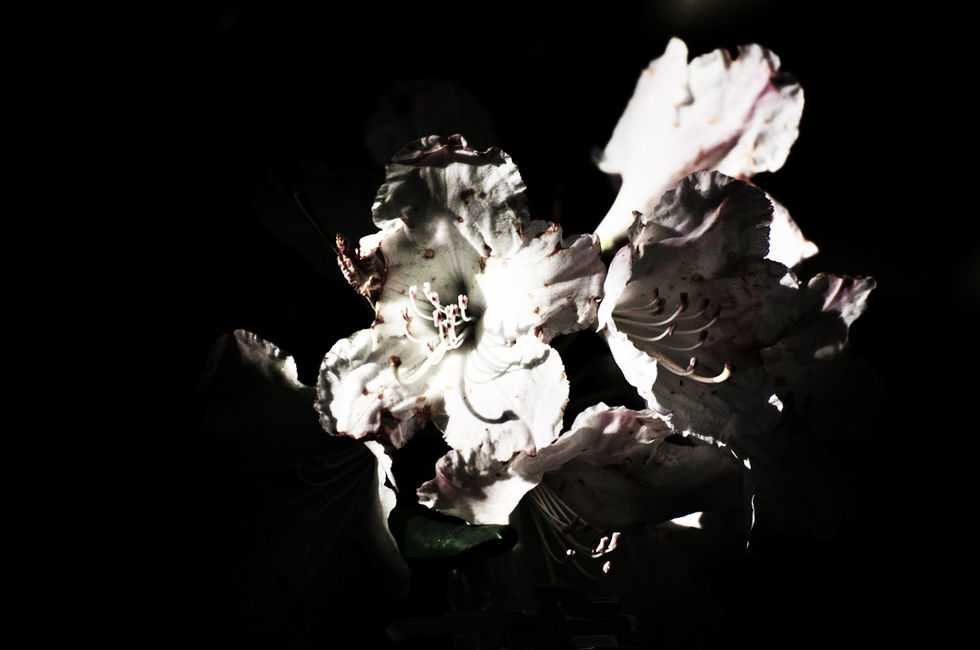 DPR_9442a(1)