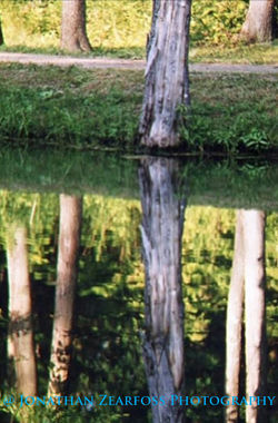 reflective pond