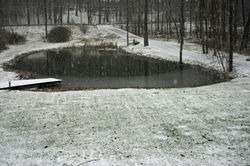 the pond_first snow
