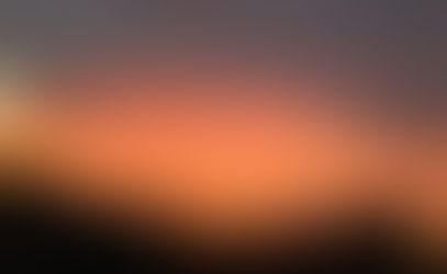 The Understory Part 2: Prescribed Burning