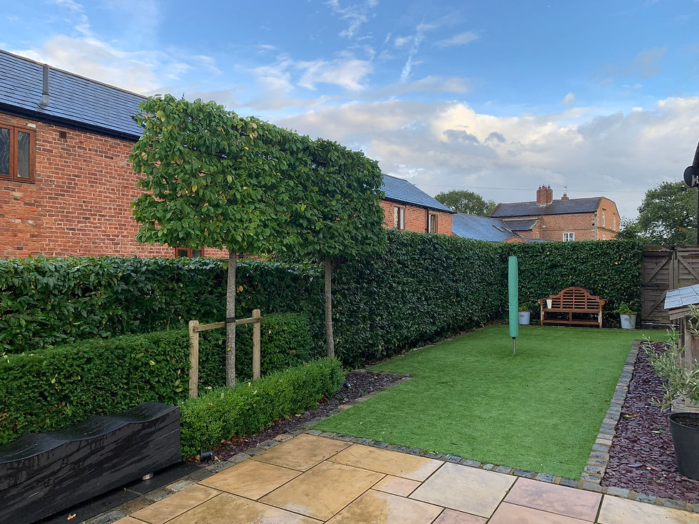 Hedge Trimming