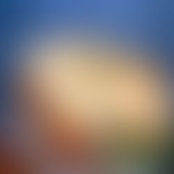 "Punkin" Spice Cupcake Minis