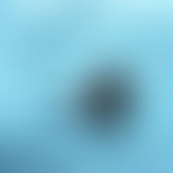 Review: "MY OWN WAKE" - roger weeks