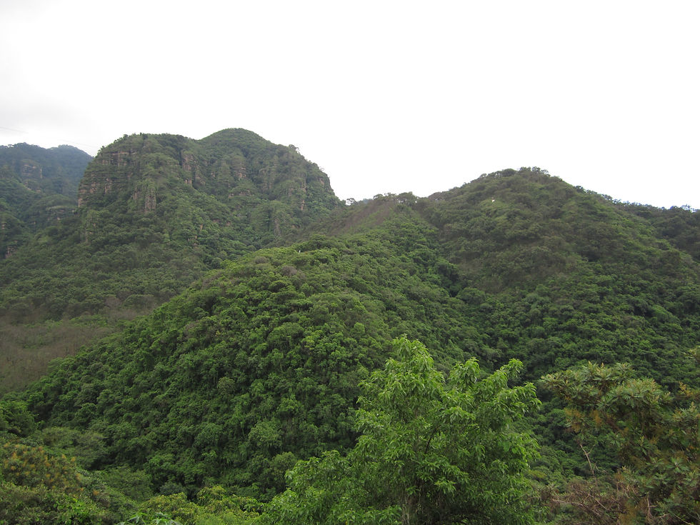 IMG_0303.JPG