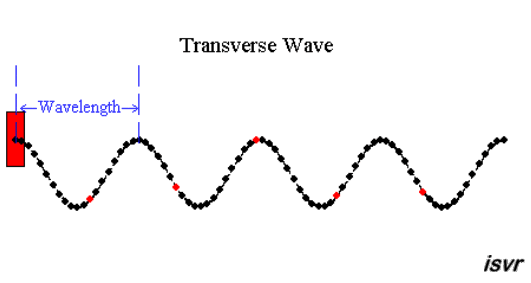 Transverse Wave Animation.gif