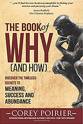 The Book of Why and How.jpeg