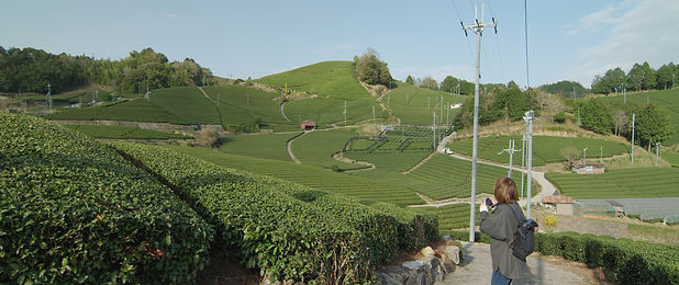 default_2.29.1.jpg