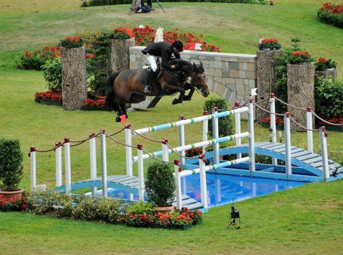horse-and-rider-show-jumping.jpg