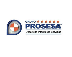 Grupo prosesa.jpg