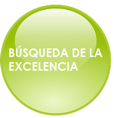 Busqueda de la excelencia.png