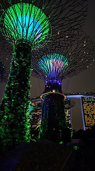 2024 싱가폴 학회 2.jpg