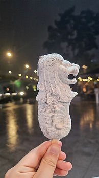 2024 싱가폴 학회 3.jpg