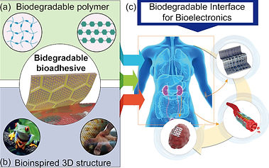 Journal of sensor science and technology 2025.jpg