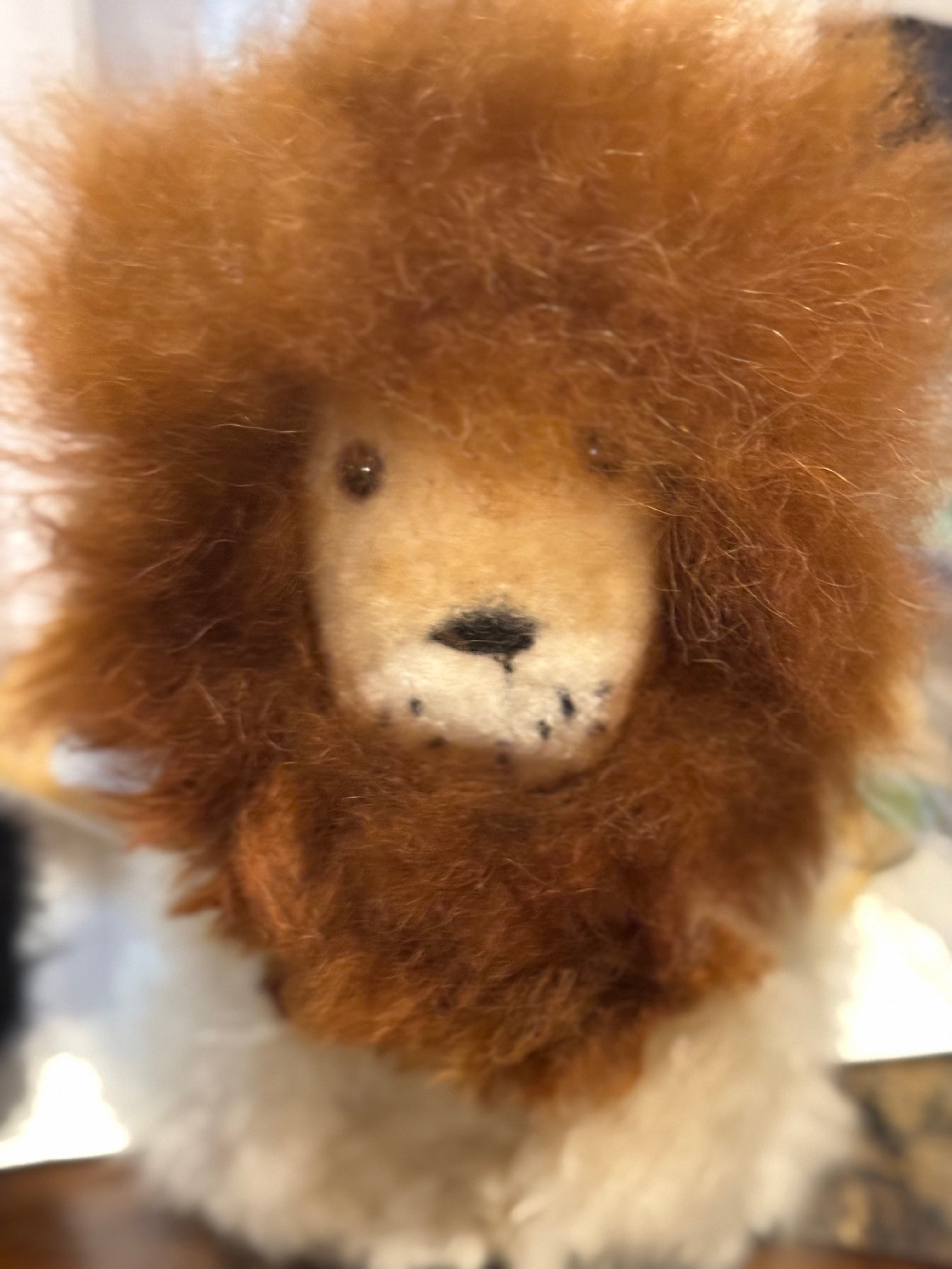 Alpaca fleece Lion -Peru 