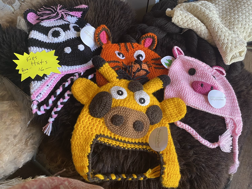 Kids -Toddler knitted animal hats 