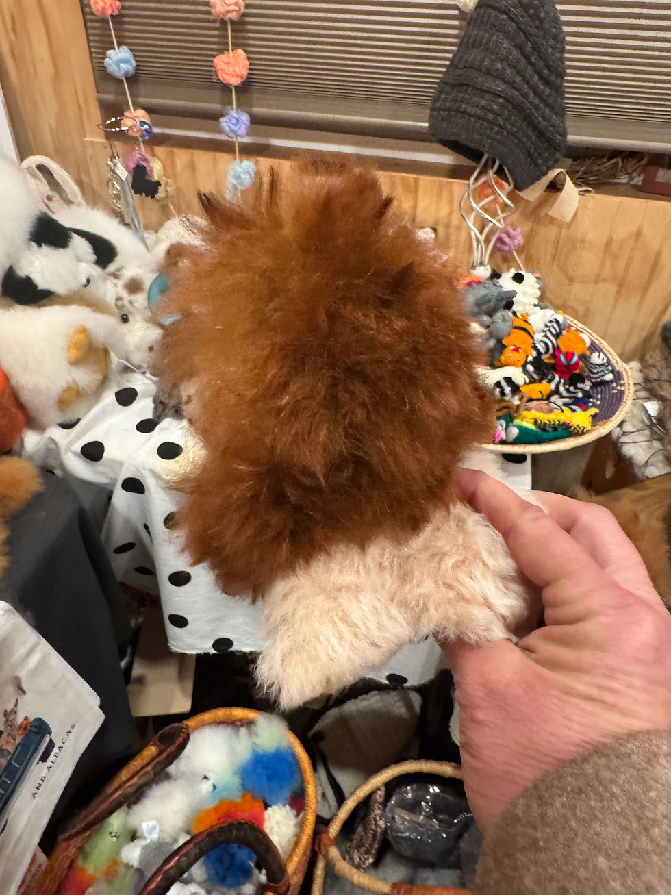 Thumbnail: Alpaca fleece Lion! So cute! Love his mane !