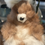Thumbnail: White Alpaca fleece bunny 