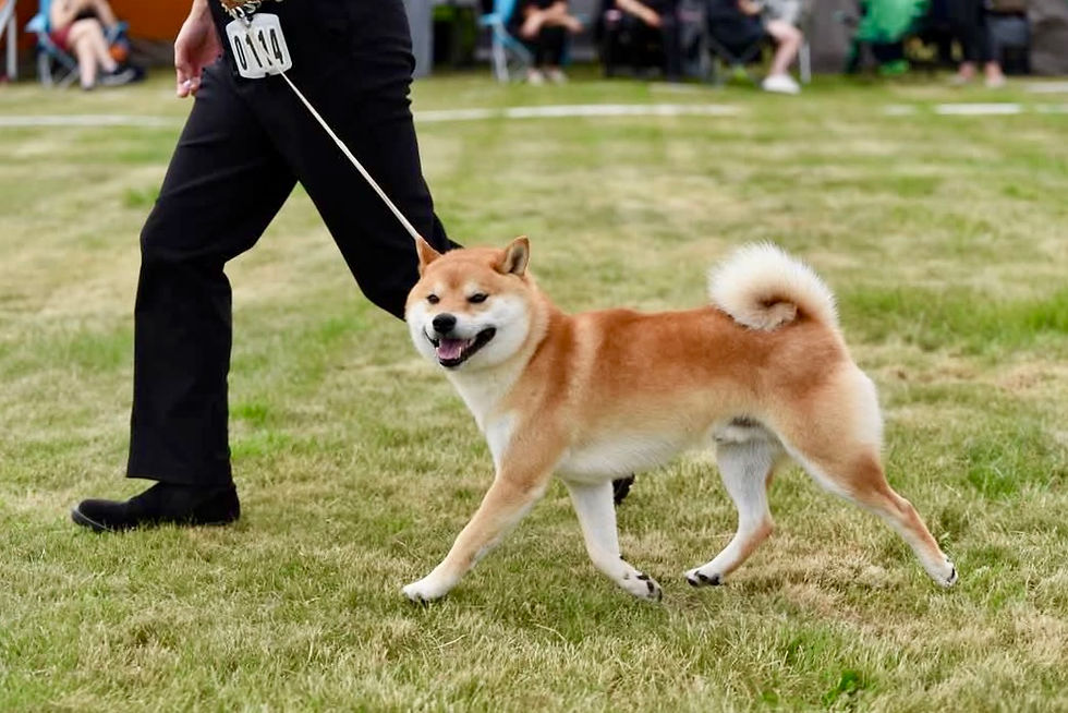 c458ff04-c9e3-4a88-ab1b-eca71e40a05c