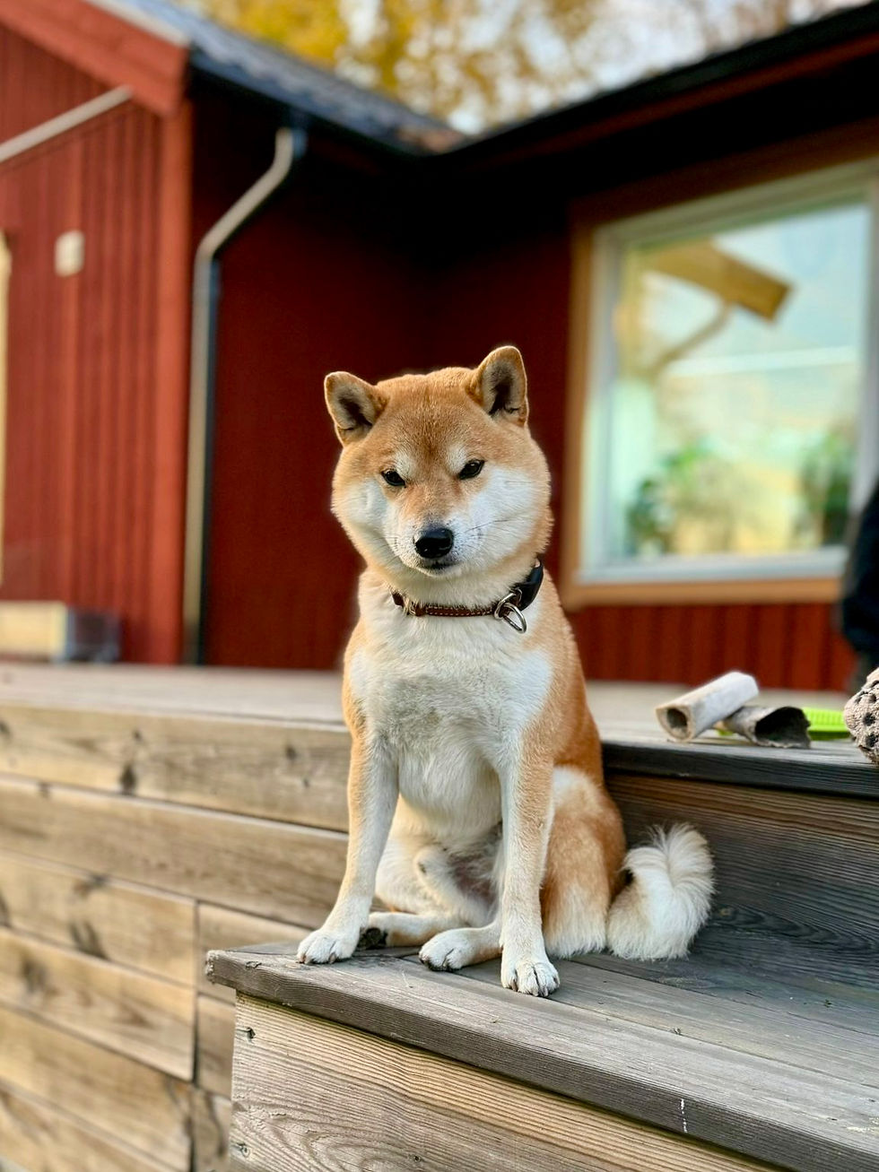 962949ef-5119-495a-9a6a-ac95cd84c425