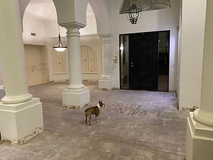 After Saltillo Tile Removal