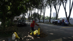 menyapu sampah