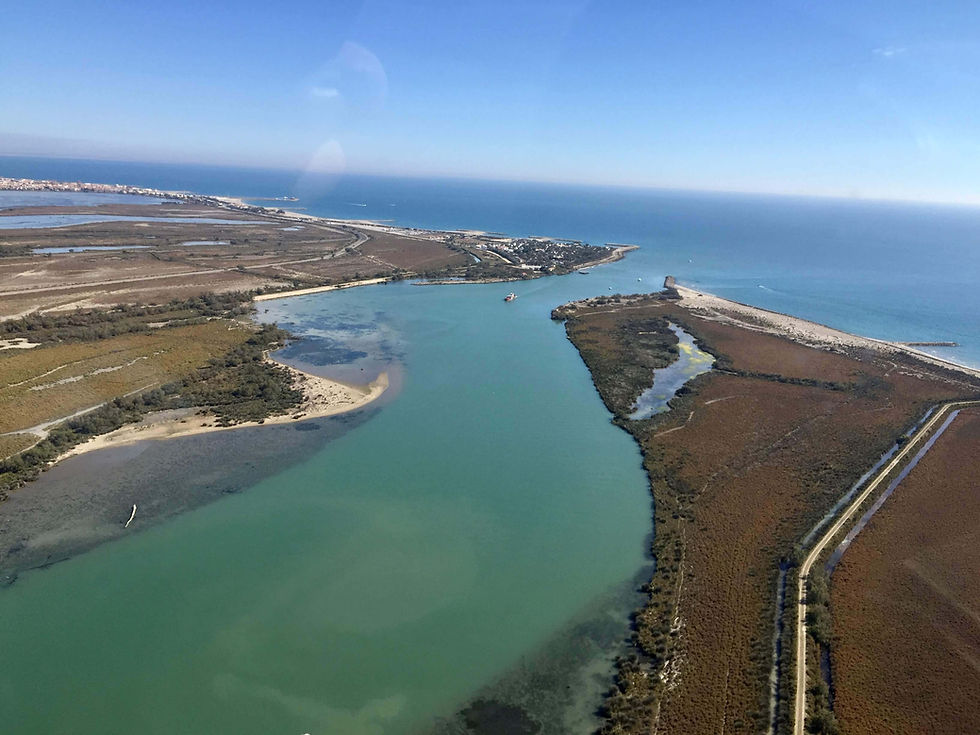 Miniature : VOL D'INITIATION 60 MN ENTRE CAMARGUE, LITTORAL ET ÉTANG DE THAU À SÈTE