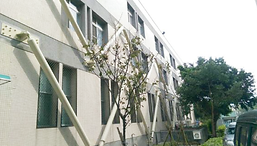 衛生福利部豐原醫院-復健大樓耐震補強工程.png