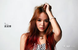 TPI一期生 陳柏蓁