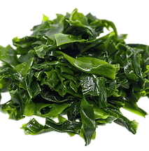 alga.png
