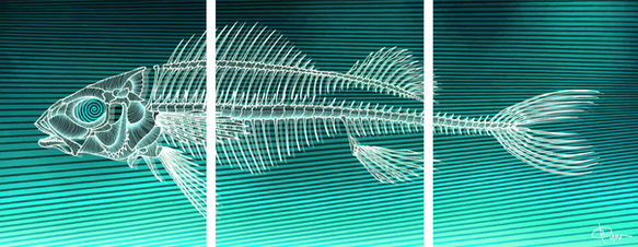 skeleton_fish3i.jpg