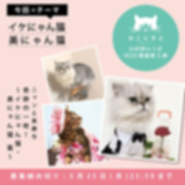 webねこにすと第三弾-(完).jpg