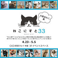 ねこにんページ 楽天市場】にゃんとわかる ねこのひみつ isbn842【絵本 仕掛け絵本