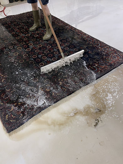 rug cleaning service.jpeg