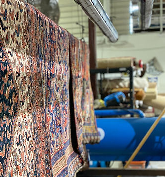 Rugs Drying at renaissance Rug Cleaning