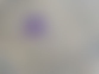 Can I Damage My Rug with the Wrong Rug Cleaning