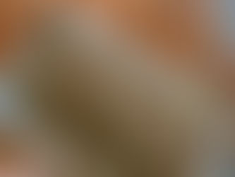  Preserving Elegance: Caring for Your Wool Area Rugs  