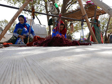 Oriental rug weavers in Iran