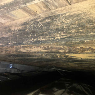 Can I Use Bleach to Clean Mold?