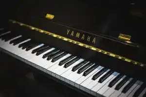 Choosing the Right Piano Moving Company