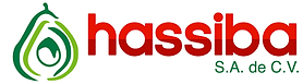 hassiba.png