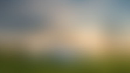 De energietransitie versnellen: Hoe Future Insight met Clearly.Projects het verschil maakt – Een perspectief vanuit omgevingsmanagement