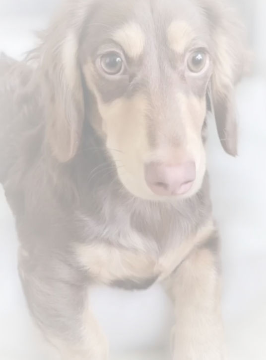 Screenshot_20230903_070150_Instagram (1)