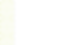 bg-mara-pattern-grn.png