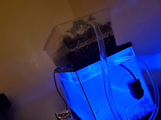 20201004_205825.jpg